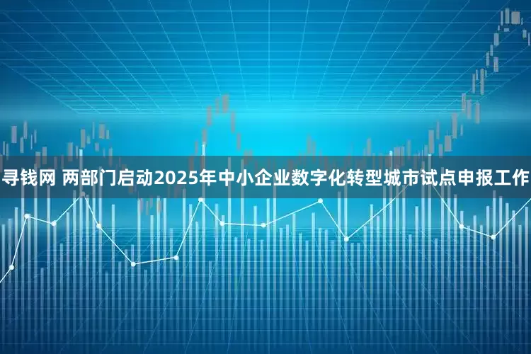 寻钱网 两部门启动2025年中小企业数字化转型城市试点申报工作