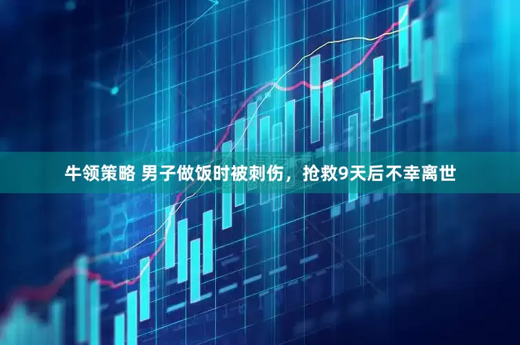 牛领策略 男子做饭时被刺伤，抢救9天后不幸离世