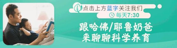 炫多配资 《胡桃夹子》第十四集之《驱逐老鼠大行动》