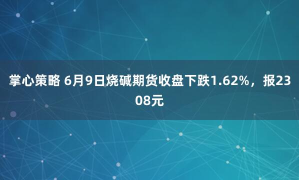 掌心策略 6月9日烧碱期货收盘下跌1.62%，报2308元