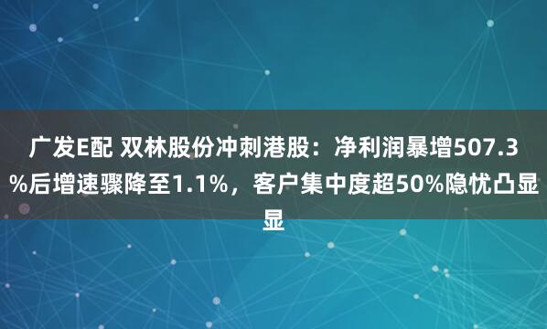 广发E配 双林股份冲刺港股：净利润暴增507.3%后增速骤降至1.1%，客户集中度超50%隐忧凸显